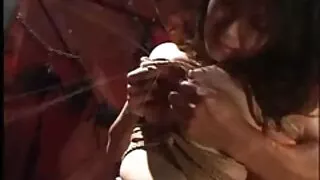 পিগটেল বাংলা নতুন চো ...