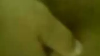 পেপারিং ল্যাটিন কোদা ...