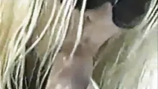 সুদৃশ্য জাপানি কিশোর ...