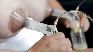 চমত্কার দাঁড়কাক বাং ...