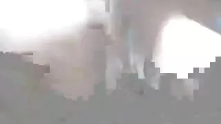 সূক্ষ্ম চোদাচুদি ভিড ...
