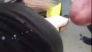 সুন্দর তরুণ কুক্কুট  ...