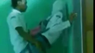 কার্ভি স্বর্ণকেশী বা ...