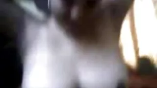 টরিড হুকার ব্রুক বের ...