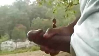 টরিড ইন্ডিয়ান চিক স ...