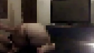 সাদা চিক আইরিস রোজ এ ...