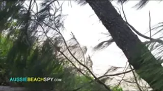 দুটি সুন্দর গাঢ় কেশ ...